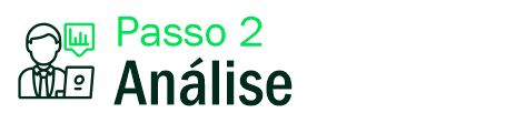 Passo 2 - Análise